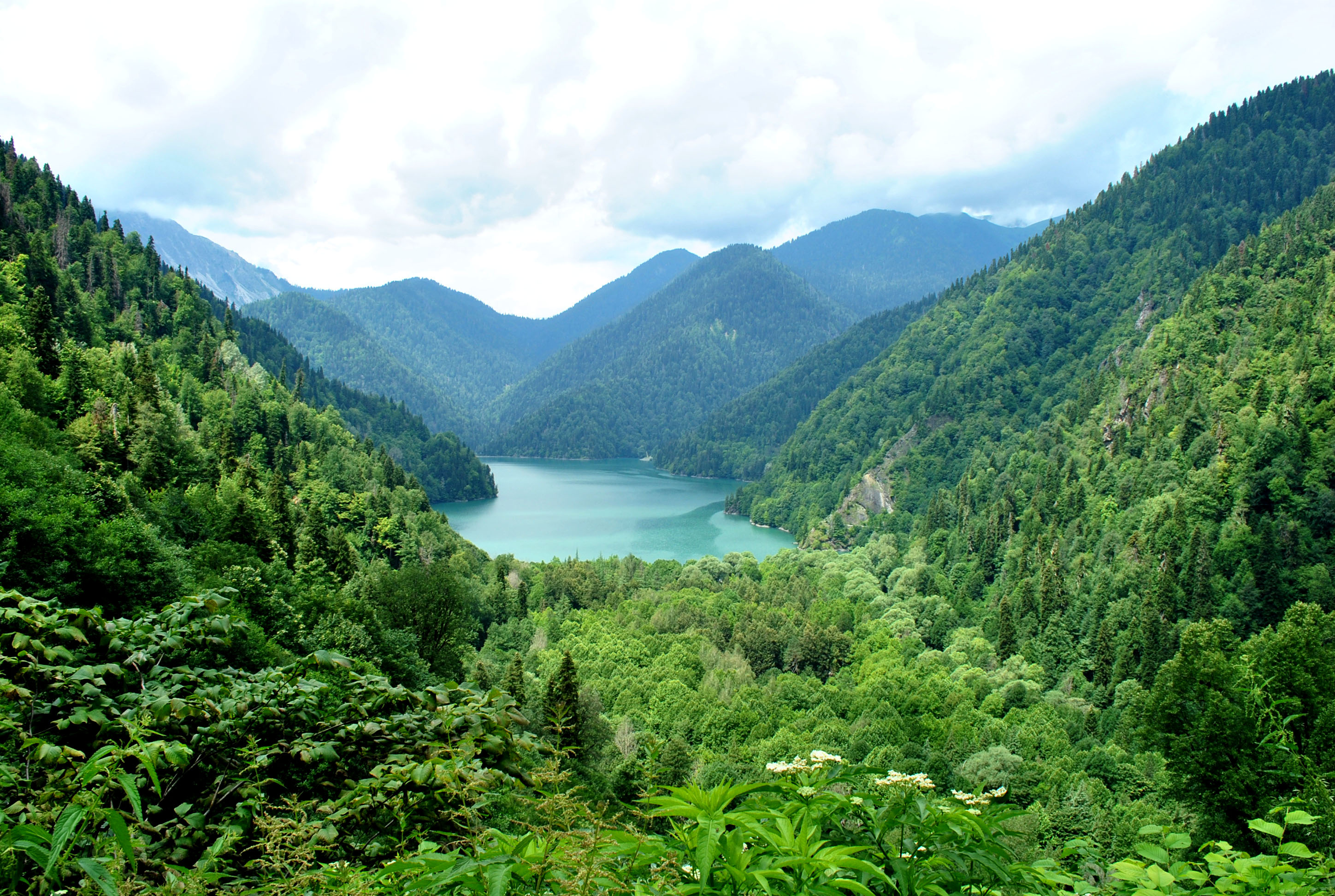 Рицинский реликтовый национальный парк Абхазия